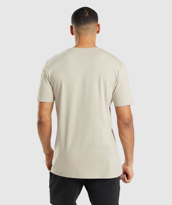 Panske Tricka Gymshark Essential Siva | HB8259714
